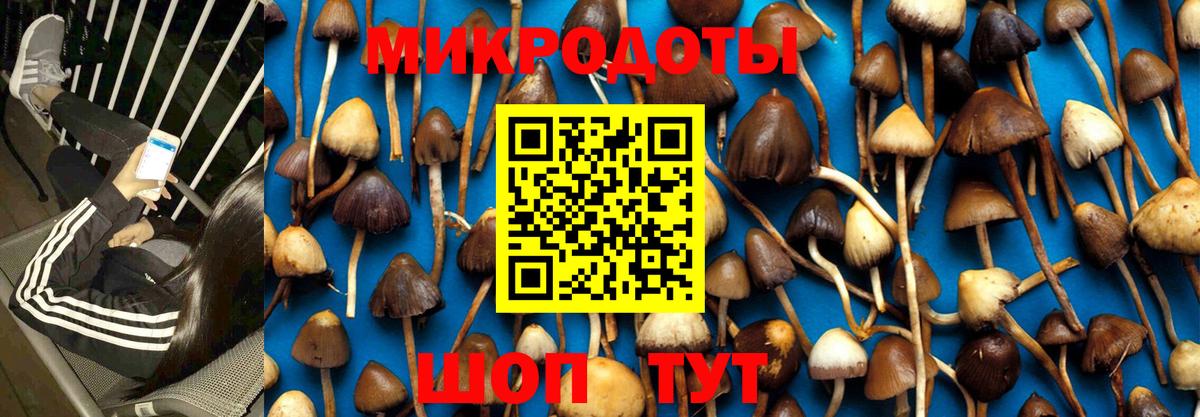 Калининград  Псилоцибиновые грибы GOLDEN TEACHER  Вход с VPN 
